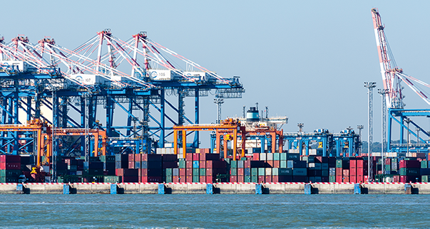 ag8集团案例 | 助力智慧港口建设，实现“车享其行，物优其流”